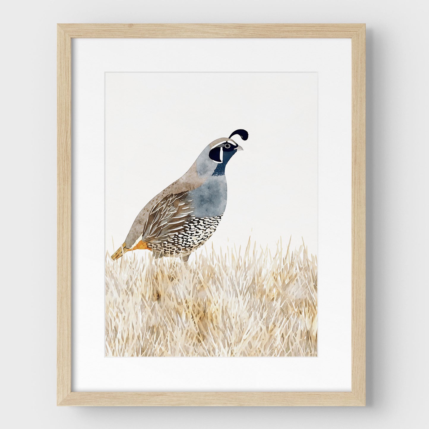California Quail Minimalist Watercolor Print