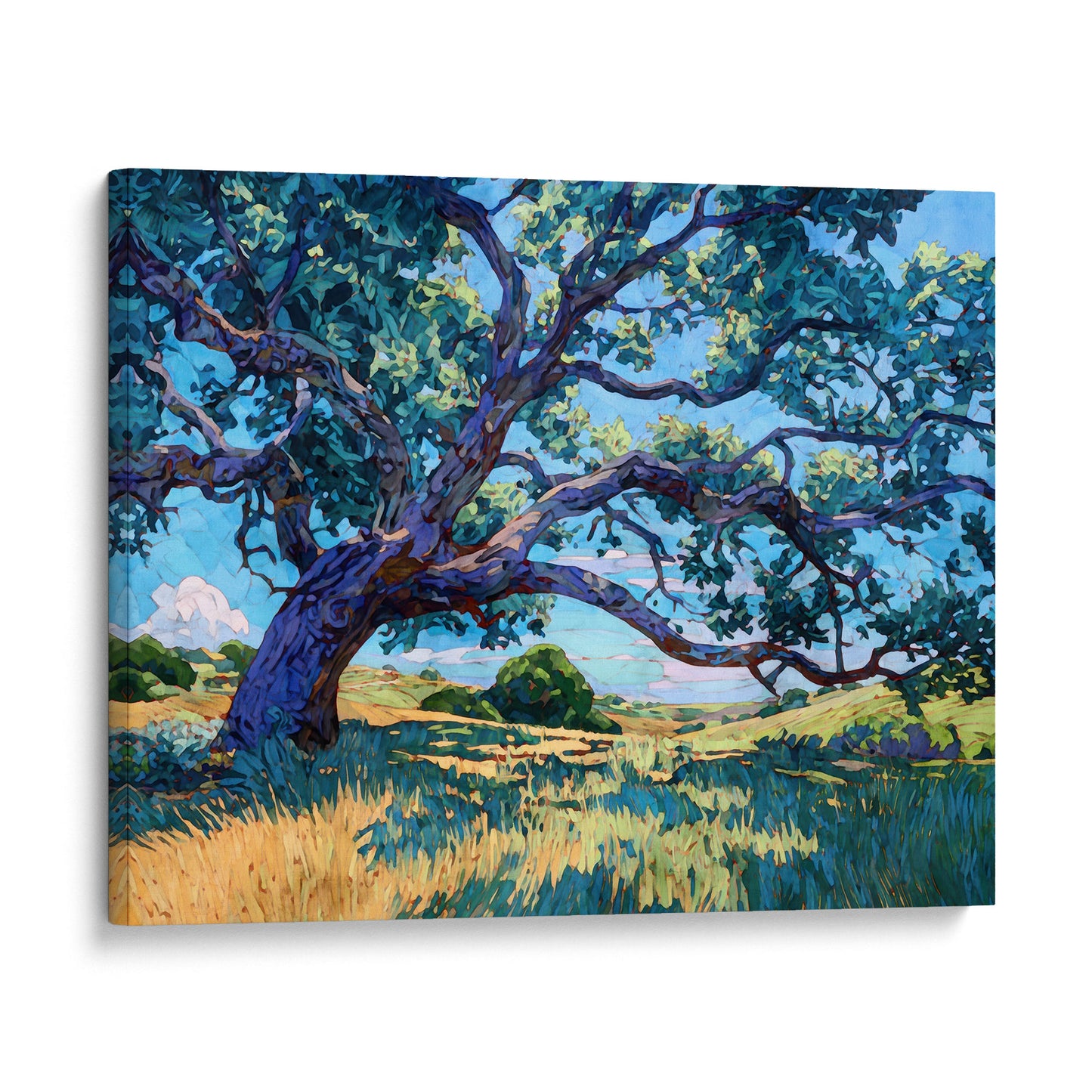 Texas Live Oak Tree Art Print
