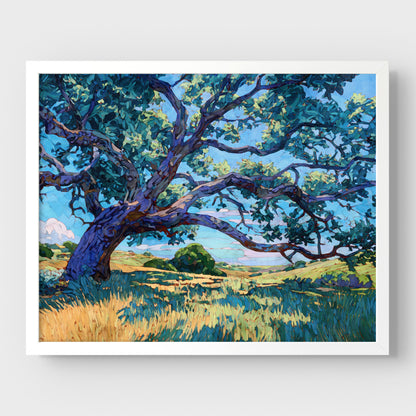 Texas Live Oak Tree Art Print