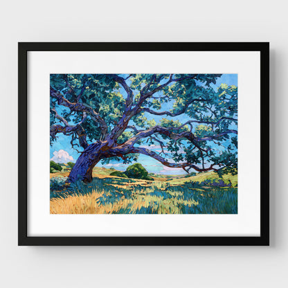 Texas Live Oak Tree Art Print