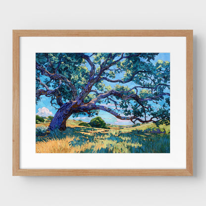 Texas Live Oak Tree Art Print