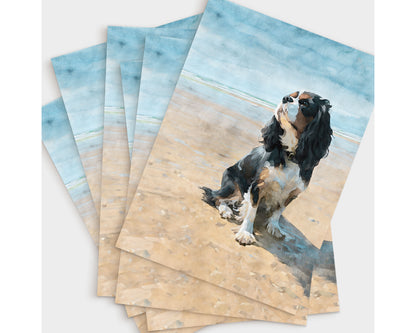 Set of greeting cards with a tricolor Cavalier King Charles spaniel on a beach design