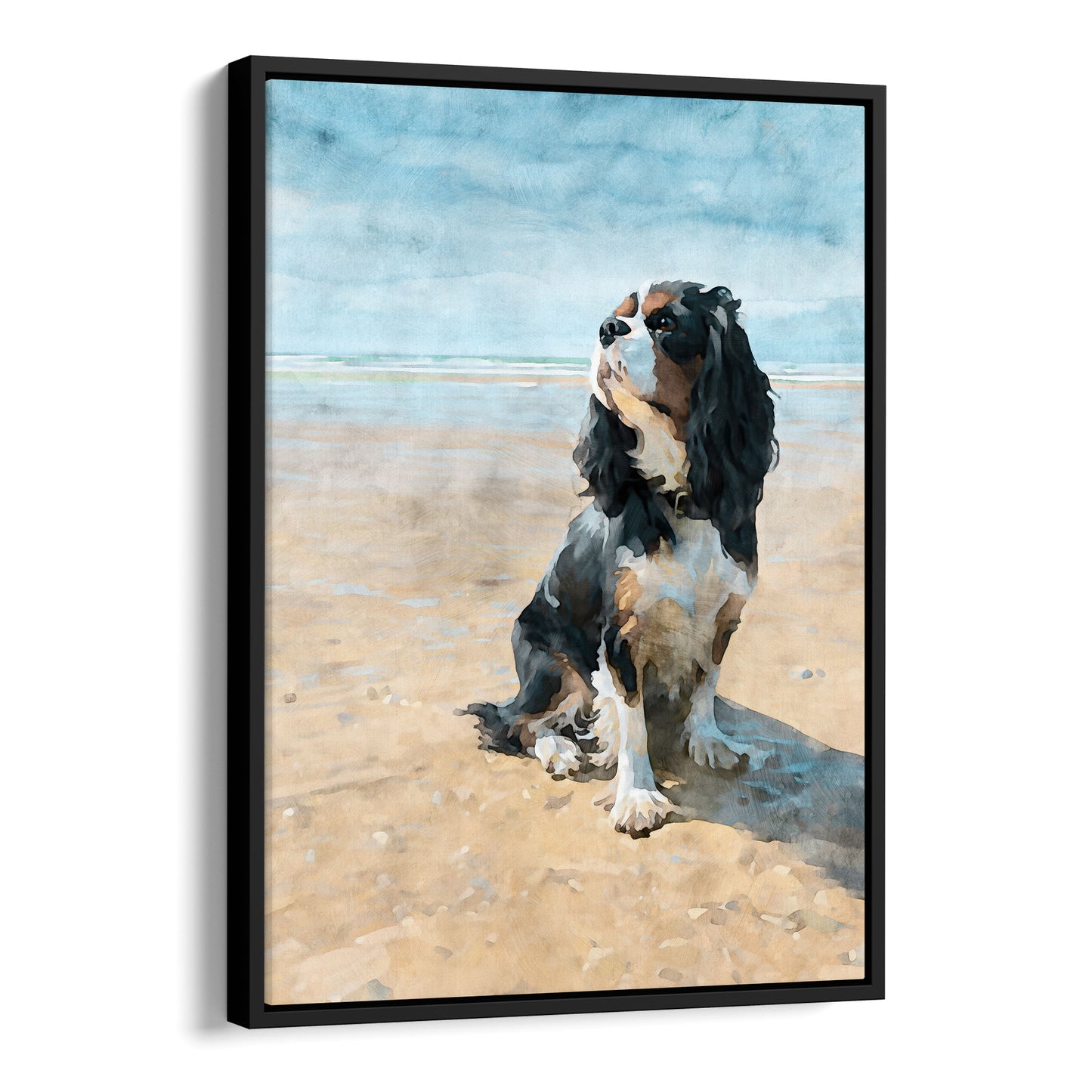 Black float framed canvas print of a tricolor Cavalier King Charles spaniel on a beach