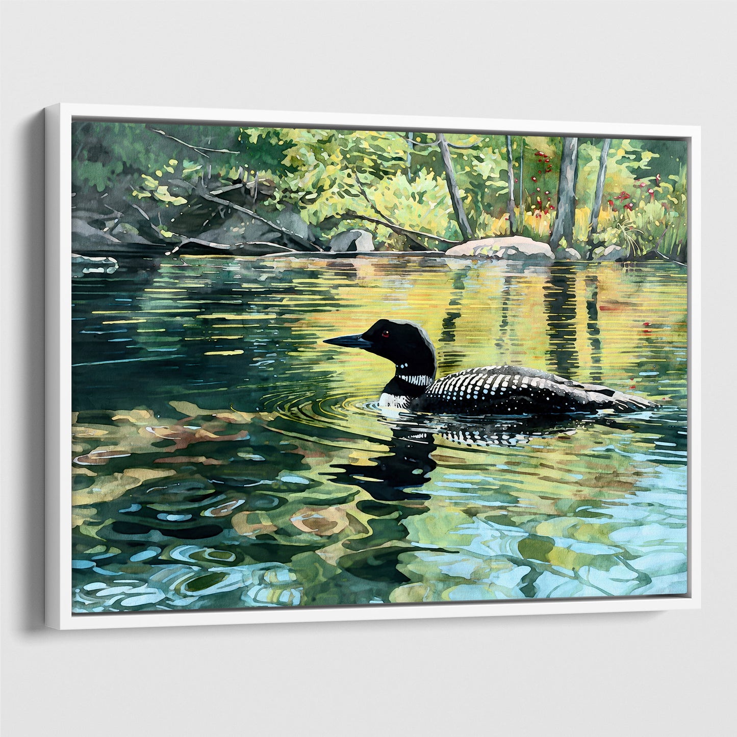Common Loon Swimming in a Lake Art Print