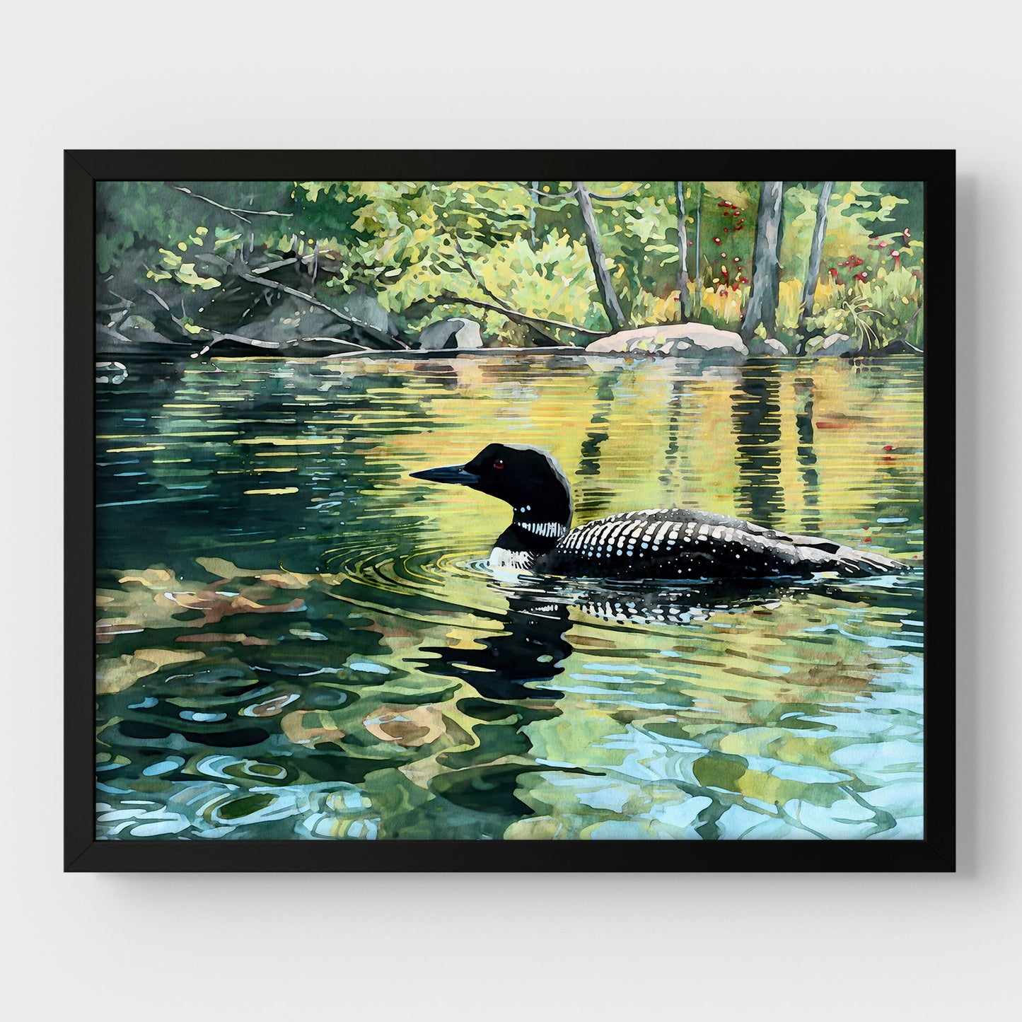 Common Loon Swimming in a Lake Art Print