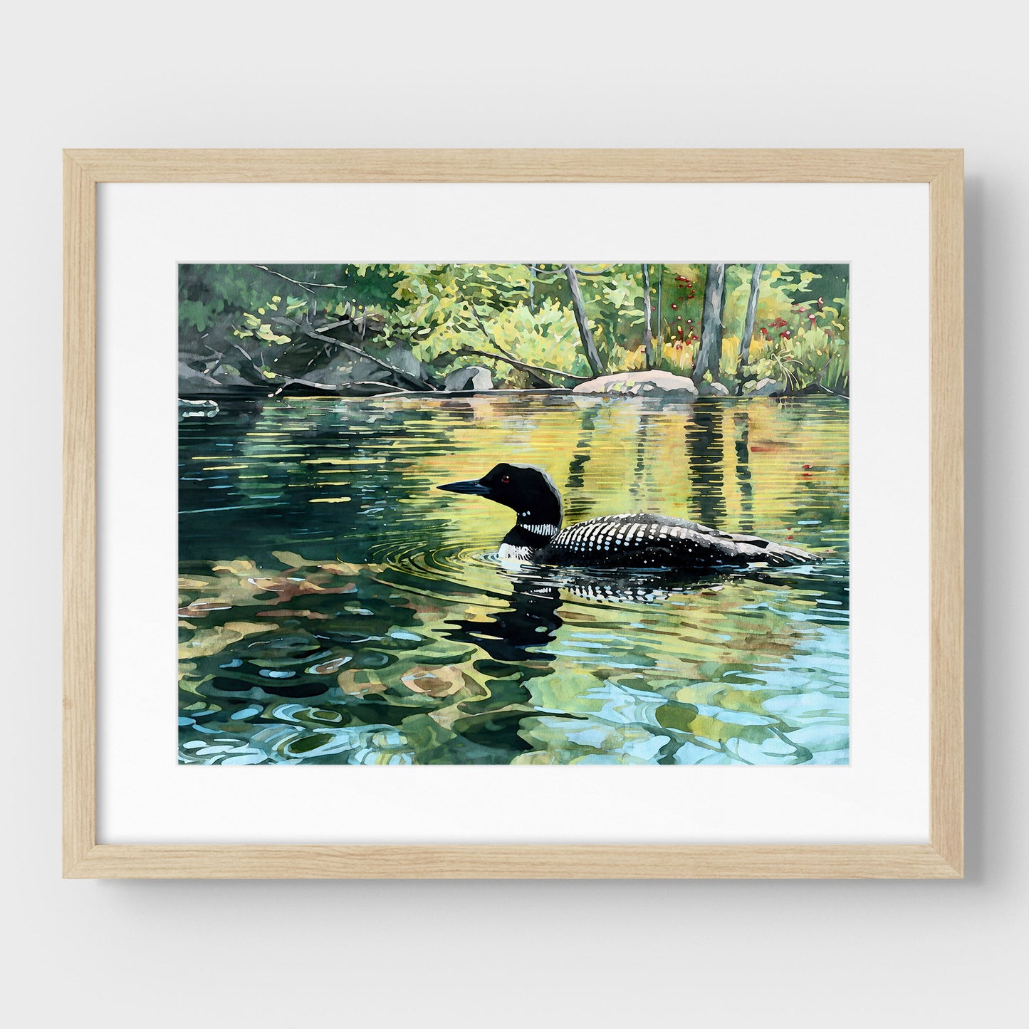 Common Loon Swimming in a Lake Art Print