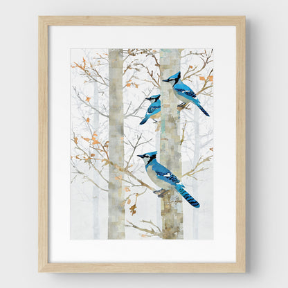 Blue Jay in Birch Forest Art Print