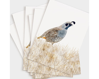 Set of greeting cards featuring a watercolor California quail standing in beige grasses, illustrated in soft blue, gray, and brown tones, fanned out to show multiple identical designs on a white background.