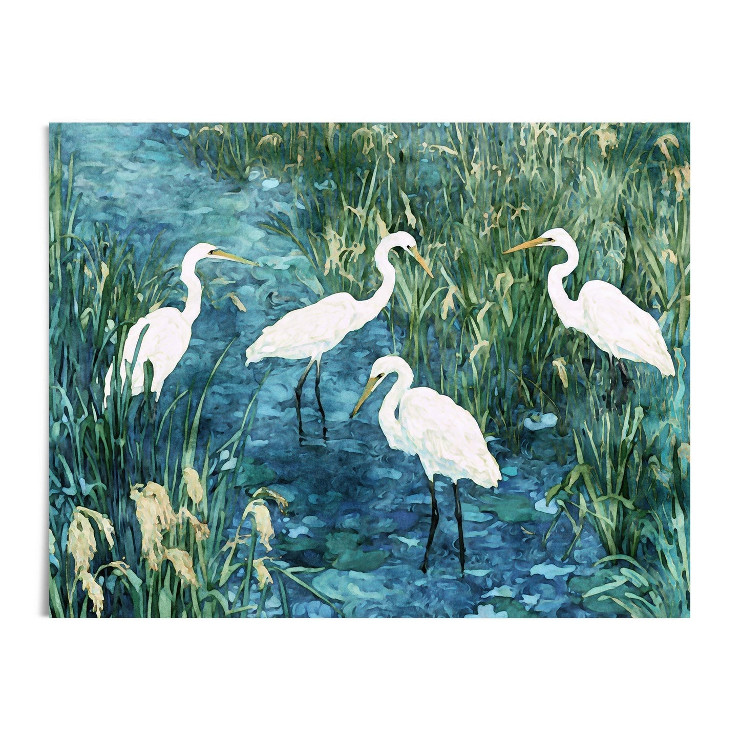 Watercolor-style painting of four white egrets wading in a marsh, surrounded by tall green grasses and shallow blue water. The birds are shown with graceful long necks and slender black legs, standing among reeds and cattails against a white background.