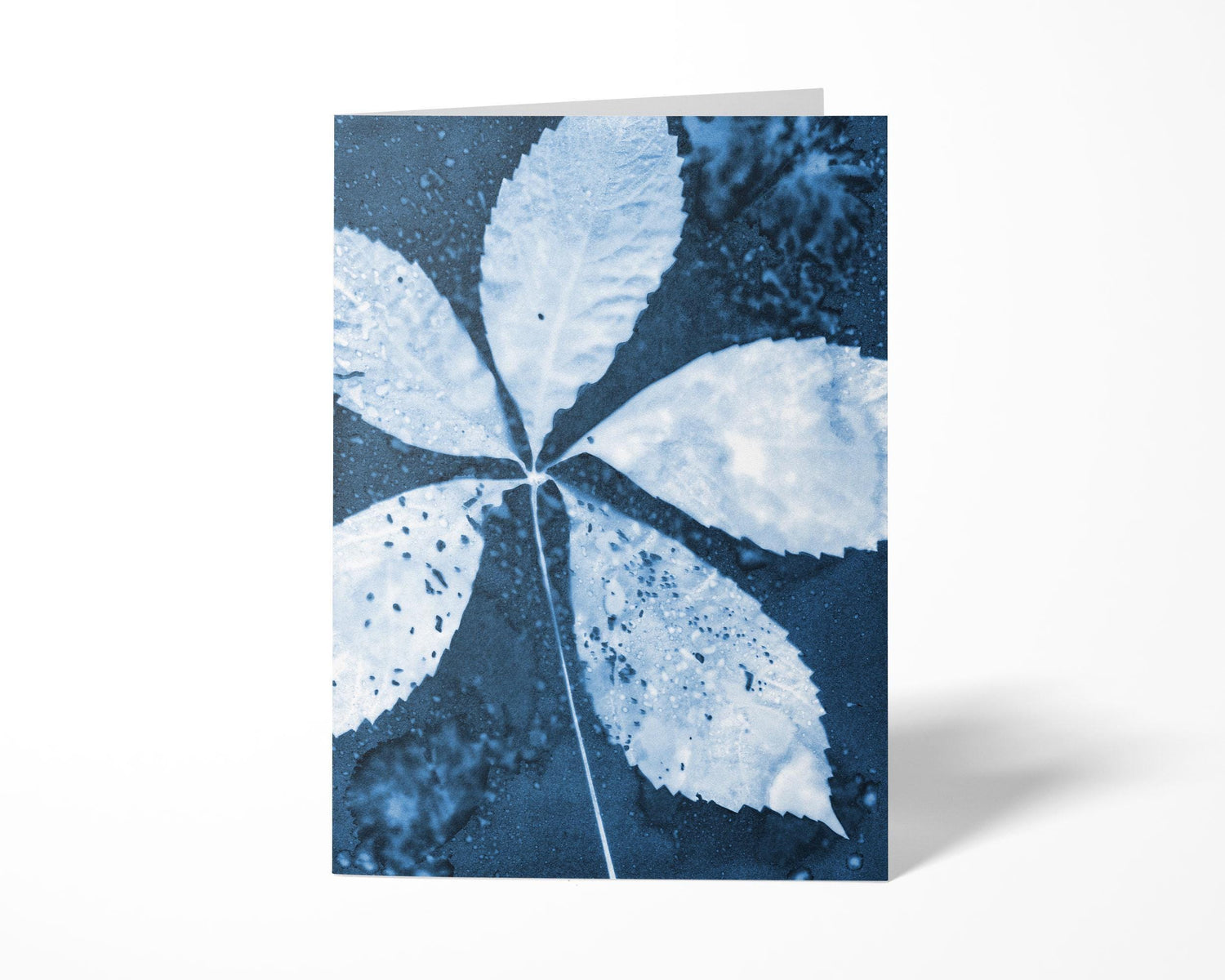 Standing greeting card featuring a cyanotype-style print of a white five-leaf cluster against a deep blue background, with intricate vein details and speckled textures visible on the leaves.