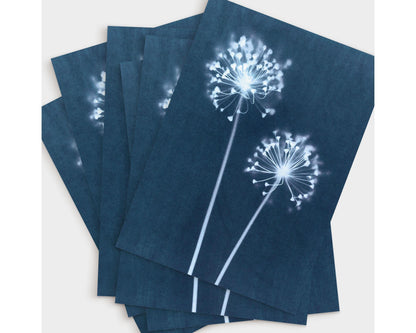 Stack of greeting cards featuring a cyanotype print of two white allium flower heads with long stems, set against a rich indigo background and arranged in a fanned layout on a light surface.