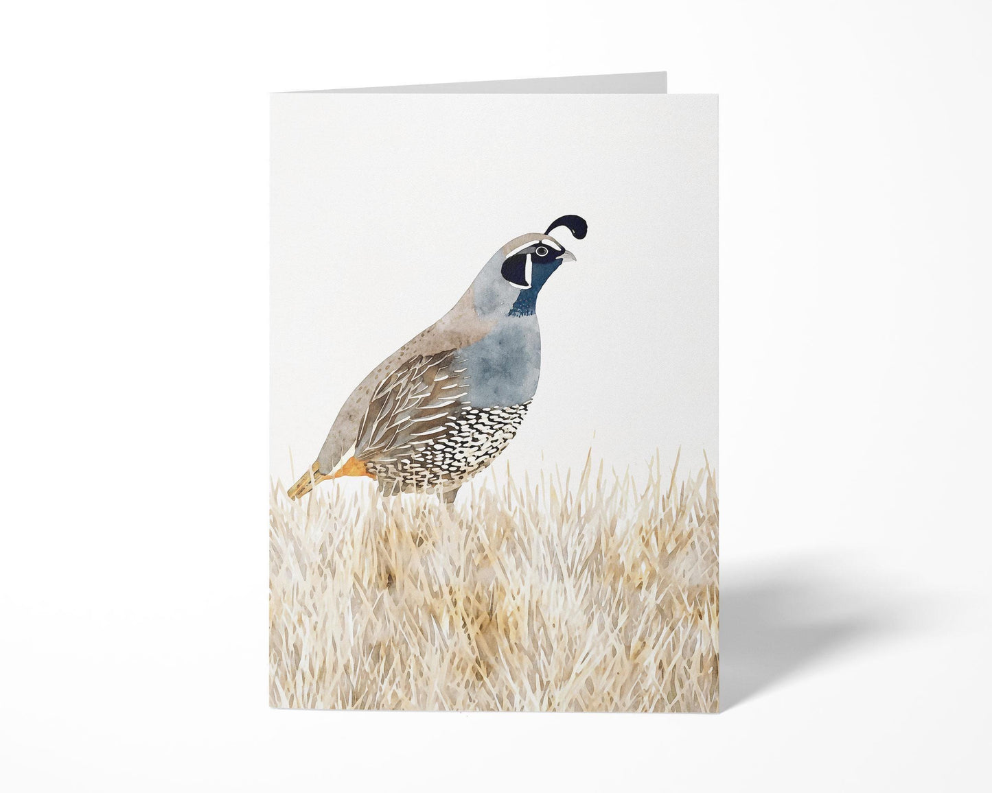 Folded greeting card featuring a watercolor California quail standing in beige grasses, painted in muted tones of blue, gray, brown, and cream, displayed upright on a white background.