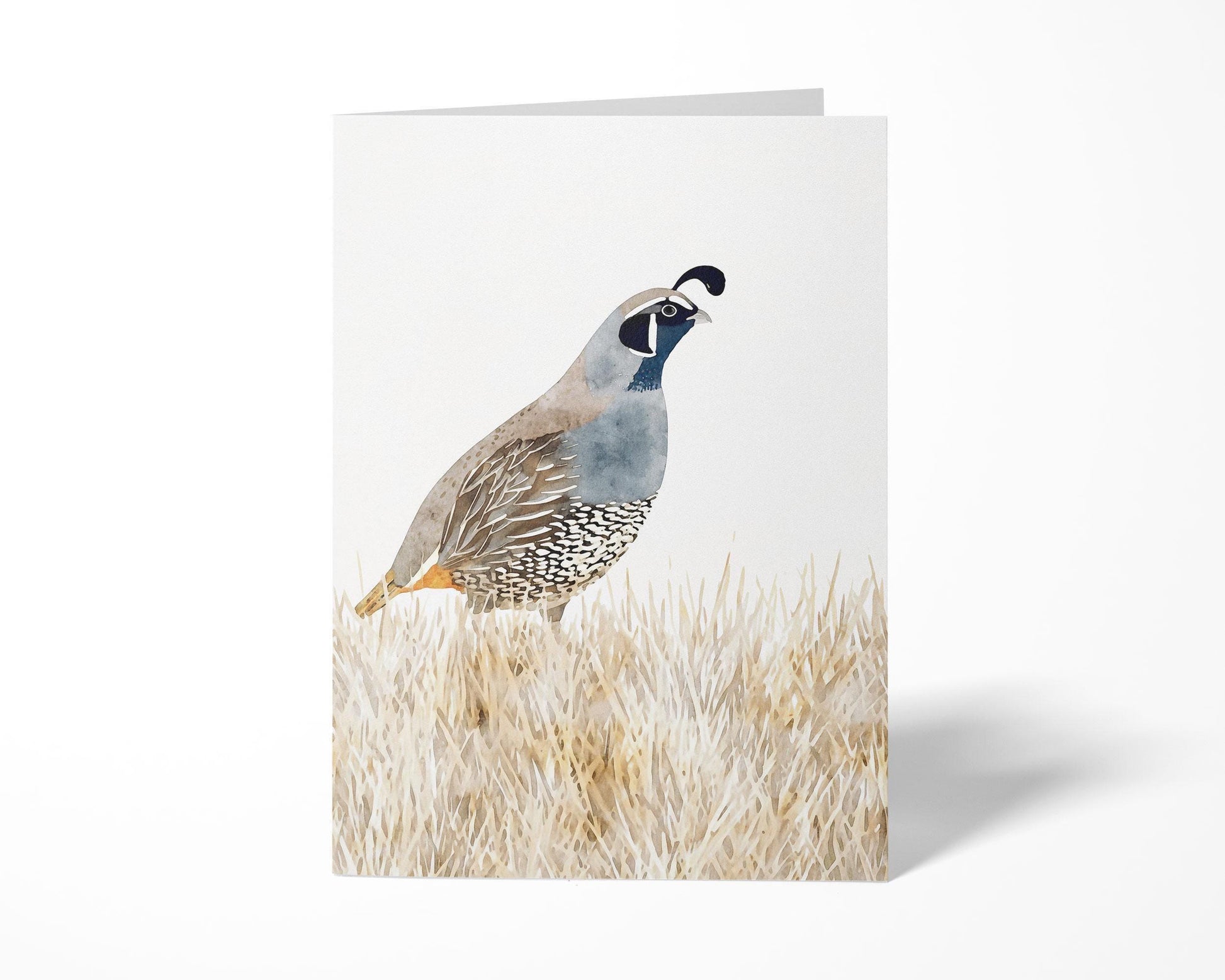 Folded greeting card featuring a watercolor California quail standing in beige grasses, painted in muted tones of blue, gray, brown, and cream, displayed upright on a white background.