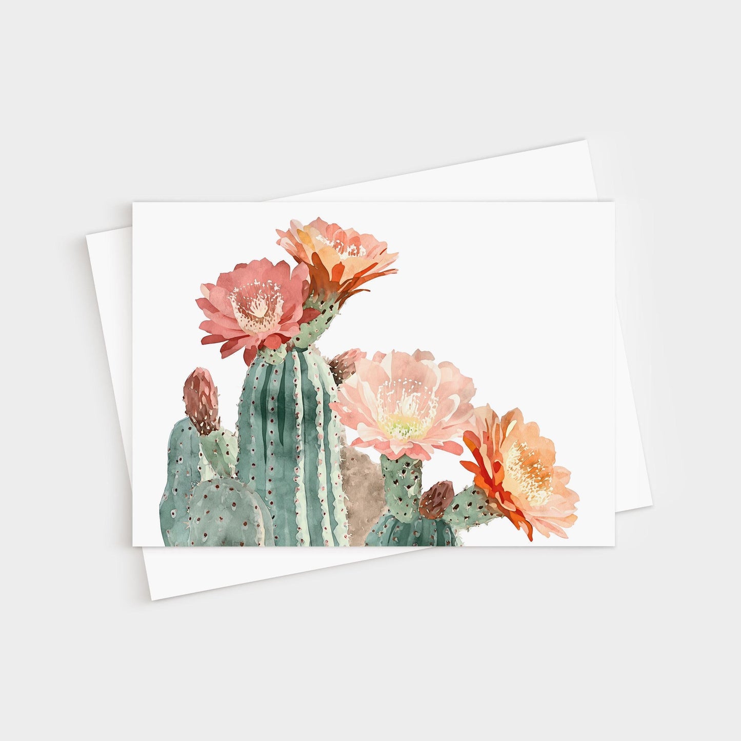Watercolor greeting card featuring blooming cacti with large pink, peach, and orange flowers against a white background, paired with a white envelope.