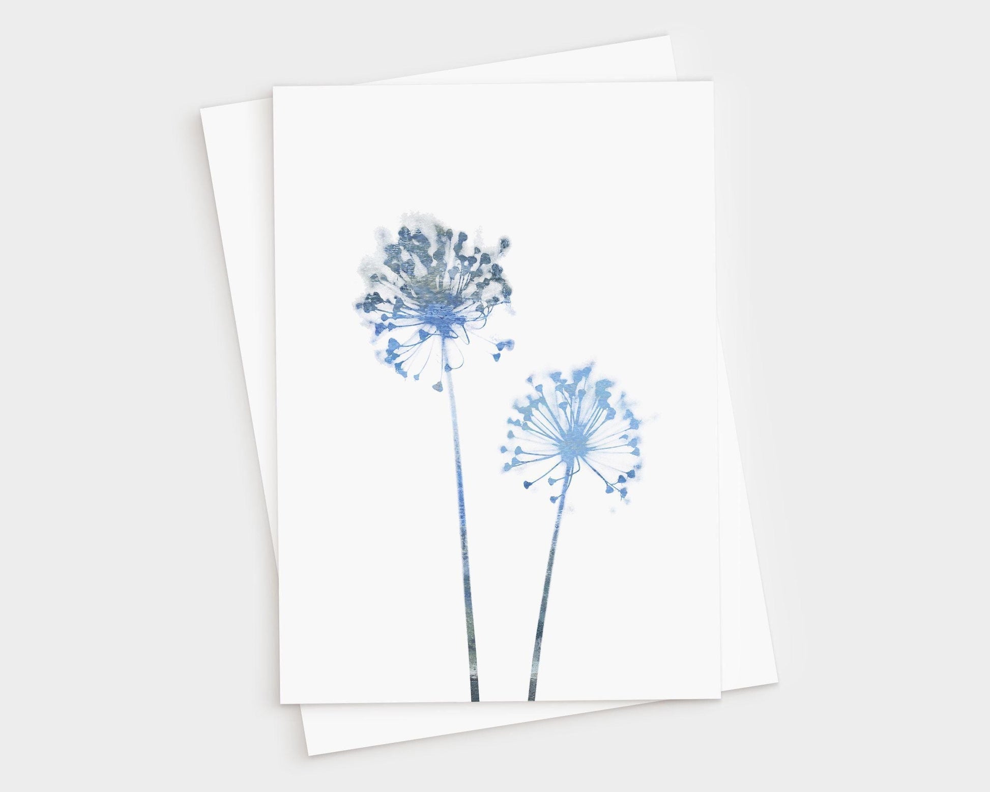 Minimalist greeting card featuring two delicate allium flower silhouettes in soft watercolor shades of blue, printed on white card stock. A white envelope is placed underneath.