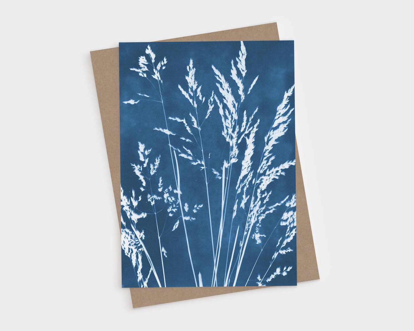 Greeting card featuring a cyanotype-style botanical print of delicate grass stems and seed heads in white against a deep blue background, displayed with a kraft brown envelope behind it.