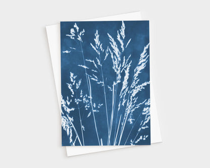 Greeting card featuring a cyanotype-style botanical print of delicate grass stems and seed heads in white against a deep blue background, displayed with a white envelope behind it.