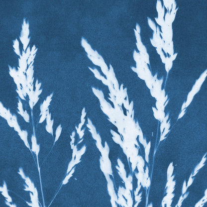Blue Cyanotype Grass Vertical Note Cards