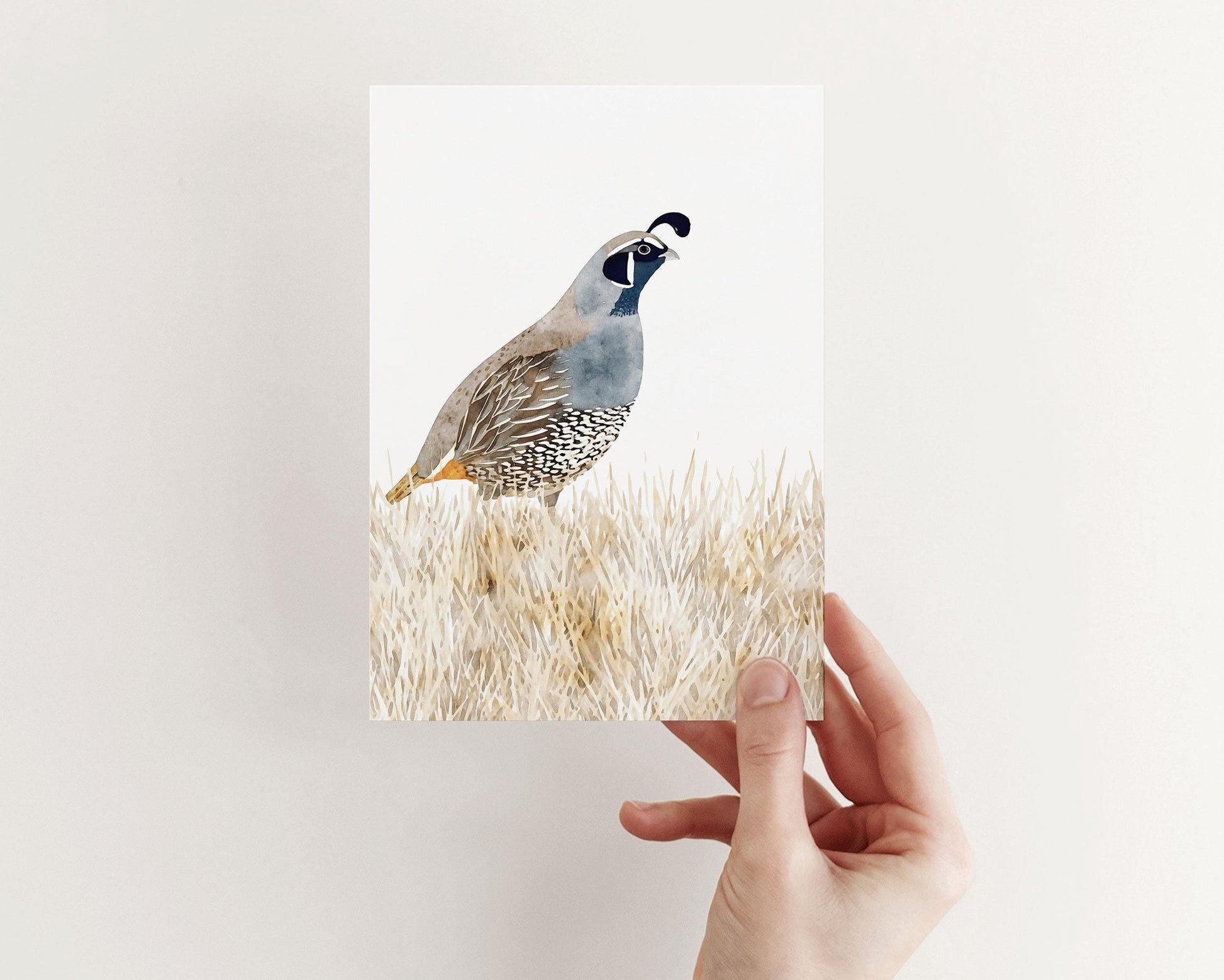 Hand holding a greeting card featuring a watercolor illustration of a California quail standing in beige grasses, painted in muted tones of blue, gray, brown, and cream against a white background.