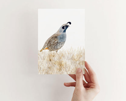 Hand holding a greeting card featuring a watercolor illustration of a California quail standing in beige grasses, painted in muted tones of blue, gray, brown, and cream against a white background.
