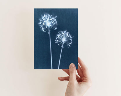 A hand holds a greeting card featuring a botanical cyanotype of two dandelion flower heads with fine white blooms and long stems, set against a rich indigo blue background.