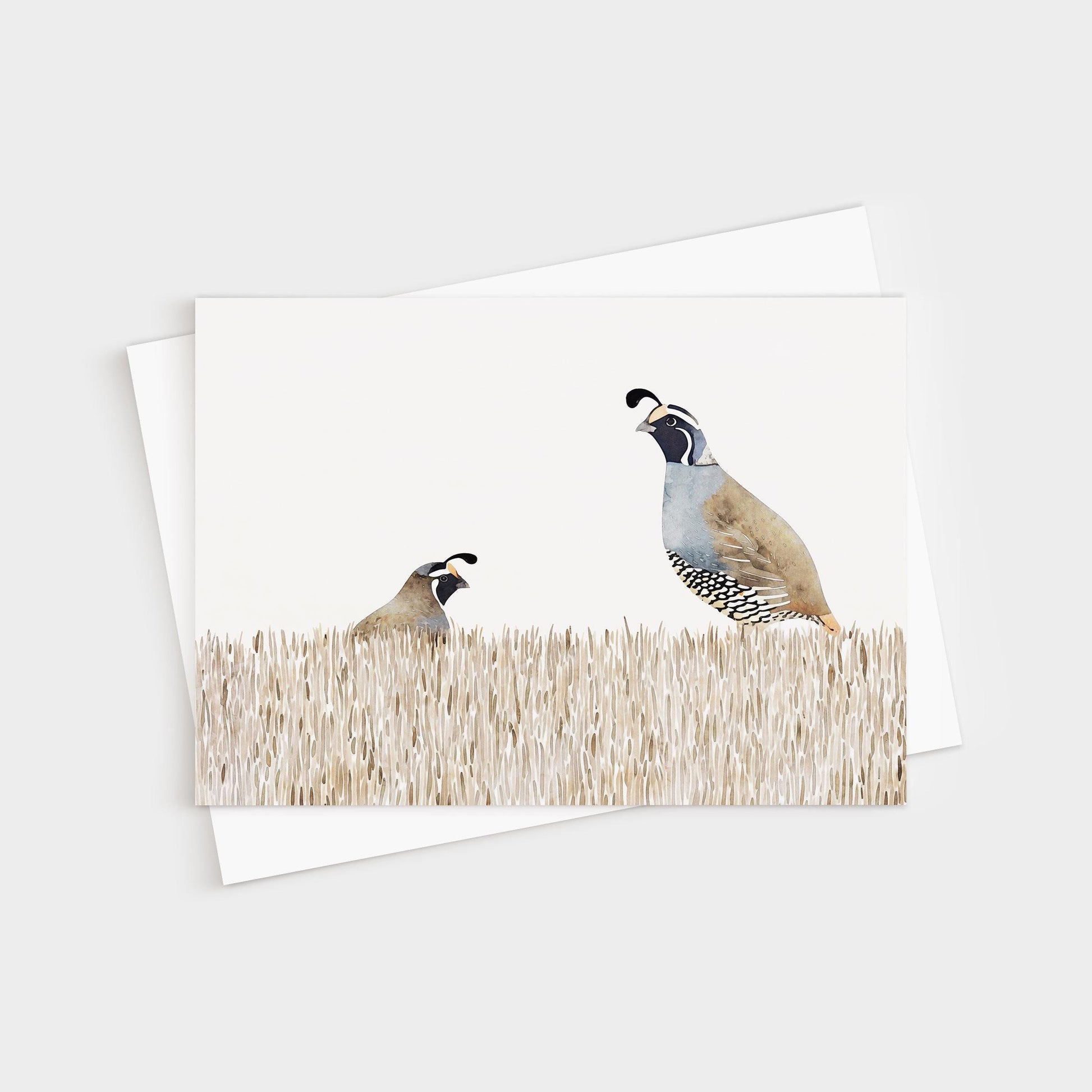 Minimalist greeting card featuring a watercolor illustration of two California quail standing in tall beige grass, one larger and one smaller, with a clean white background. Card is displayed with a white envelope.