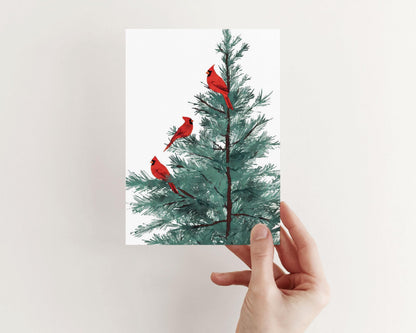 A hand holds a greeting card featuring an illustration of three red cardinals perched on the branches of a green pine tree, set against a clean white background.