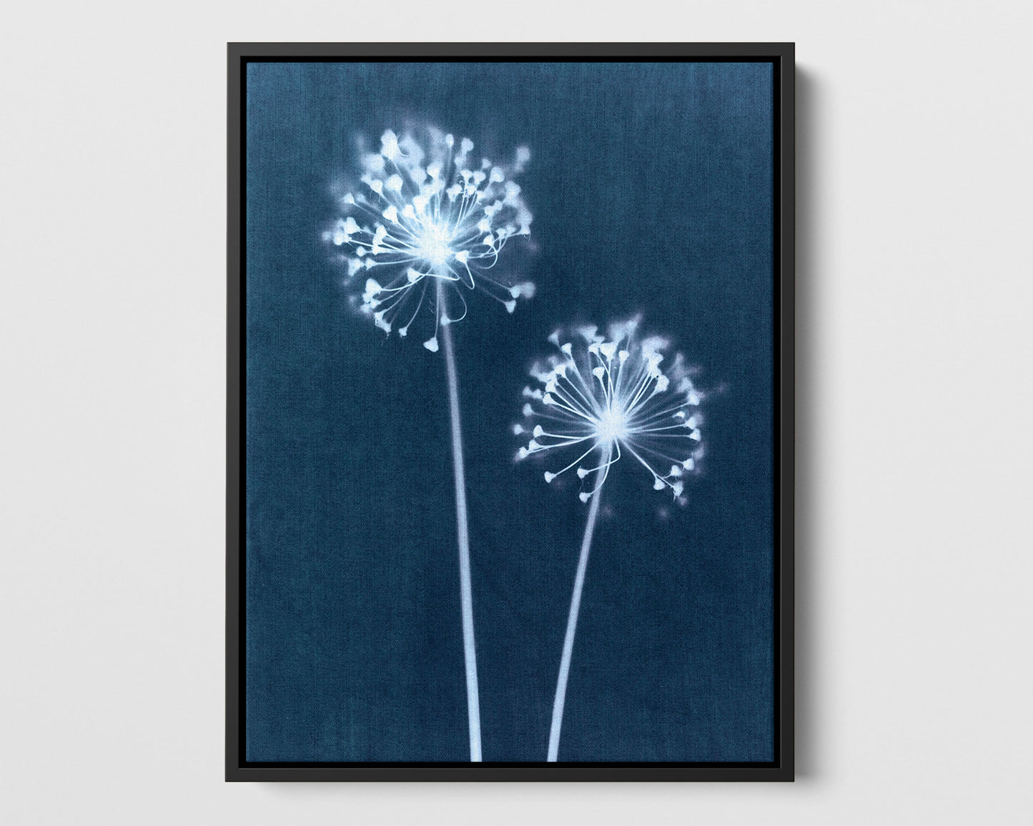 Indigo Dandelion Print