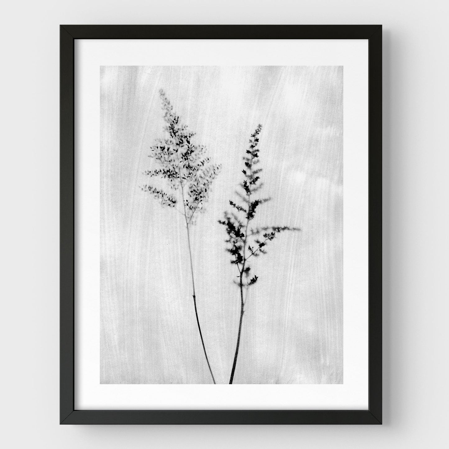 Black and White Wildflower Print