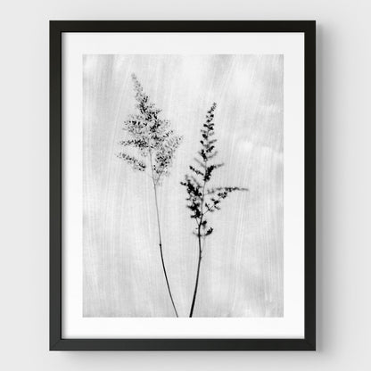 Black and White Wildflower Print