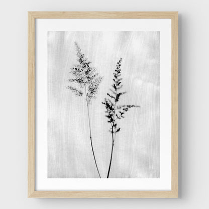 Black and White Wildflower Print